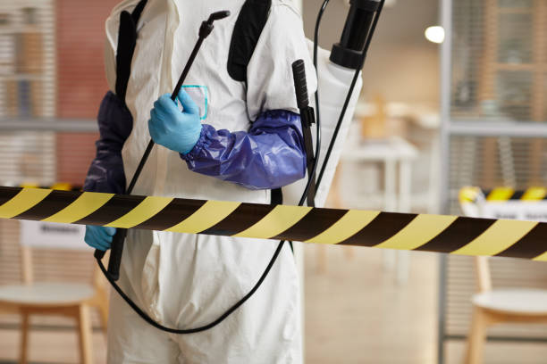 Professional Sewage Cleanup technician working in Northfield, IL